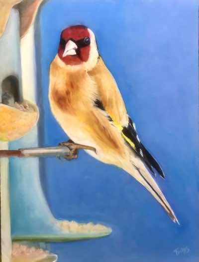 Larger than the Fabritius original and a different composition from a bird that visited my own garden. So not really a copy but still something I would not have attempted if I had not seen the Fabritius picture. Oil on 400 x 300 mm board